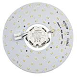 Circolina LED con calamita 12W 20W 24W 36W 50W sostituisce il neon circolare