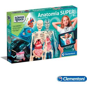 Jago® Modello Scheletro Umano 181,5cm Medico Anatomico Dimensioni Reali